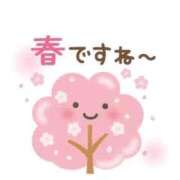 ヒメ日記 2026/04/03 11:32 投稿 こはく 横浜おかあさん