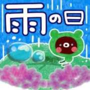 ヒメ日記 2026/04/10 06:55 投稿 こはく 横浜おかあさん