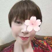 ヒメ日記 2026/04/10 11:16 投稿 こはく 横浜おかあさん