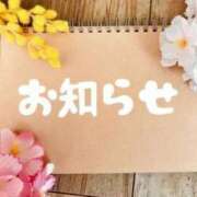 ヒメ日記 2026/04/11 17:52 投稿 こはく 横浜おかあさん