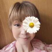 ヒメ日記 2026/06/17 05:25 投稿 こはく 横浜おかあさん