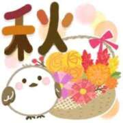 ヒメ日記 2026/09/12 12:25 投稿 こはく 横浜おかあさん