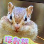 ヒメ日記 2026/05/13 10:11 投稿 かれん スピードエコ梅田店