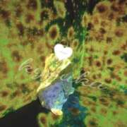 ヒメ日記 2026/04/02 12:27 投稿 きょうか ハピネス東京