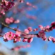 ヒメ日記 2026/03/03 14:13 投稿 香織(かおり) PLUS梅田店