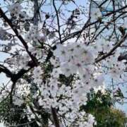 ヒメ日記 2026/03/28 21:22 投稿 香織(かおり) PLUS梅田店