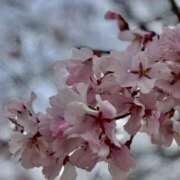 香織(かおり) 春が来た‼️🌸🌸🌸 PLUS梅田店