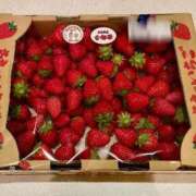 ヒメ日記 2026/04/28 18:32 投稿 香織(かおり) PLUS梅田店