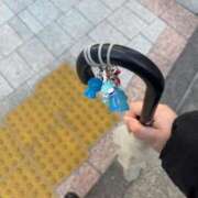 ヒメ日記 2026/02/16 00:42 投稿 ちほ 白いぽっちゃりさん