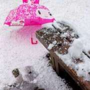 ヒメ日記 2026/02/07 08:22 投稿 ゆみな 奥鉄オクテツ東京店（デリヘル市場）