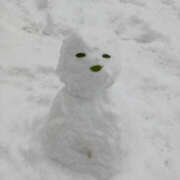 ヒメ日記 2026/02/12 08:48 投稿 ゆみな 奥鉄オクテツ東京店（デリヘル市場）