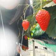 ヒメ日記 2026/02/22 10:47 投稿 ゆみな 奥鉄オクテツ東京店（デリヘル市場）