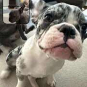 ヒメ日記 2026/02/03 12:02 投稿 もえ りんくう泉佐野ちゃんこ