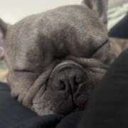 ヒメ日記 2026/02/13 01:02 投稿 もえ りんくう泉佐野ちゃんこ