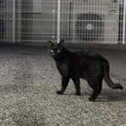 ヒメ日記 2026/02/18 03:52 投稿 りむ りんくう泉佐野ちゃんこ