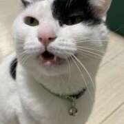 ヒメ日記 2026/02/25 11:02 投稿 りむ りんくう泉佐野ちゃんこ