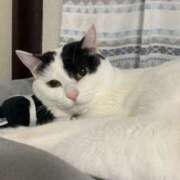 ヒメ日記 2026/03/30 16:02 投稿 りむ りんくう泉佐野ちゃんこ