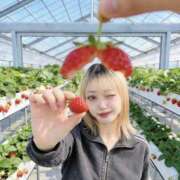 ヒメ日記 2026/04/01 02:12 投稿 りむ りんくう泉佐野ちゃんこ