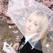 ヒメ日記 2026/04/02 13:02 投稿 りむ りんくう泉佐野ちゃんこ