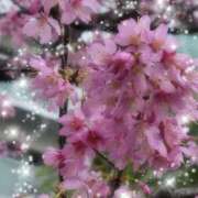 あげは 春 熟女デリヘル秘宝館Z