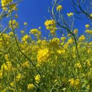 ヒメ日記 2026/03/12 22:16 投稿 まなつ E+アイドルスクール