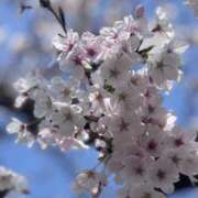 ヒメ日記 2026/03/31 20:40 投稿 まなつ E+アイドルスクール