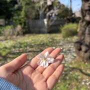 ヒメ日記 2026/04/01 17:34 投稿 まなつ E+アイドルスクール