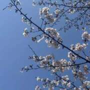 ヒメ日記 2026/04/06 19:56 投稿 まなつ E+アイドルスクール