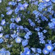 ヒメ日記 2026/04/18 18:56 投稿 まなつ E+アイドルスクール