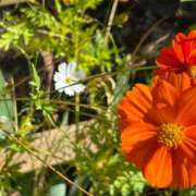 ヒメ日記 2026/02/18 12:45 投稿 はるき 横浜Cute