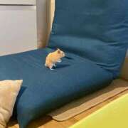 ヒメ日記 2026/02/05 22:42 投稿 なのか☆地元松山　完全素人 バーニング（BURNING）