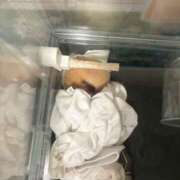 ヒメ日記 2026/03/17 14:48 投稿 なのか☆地元松山　完全素人 バーニング（BURNING）