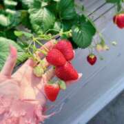 ヒメ日記 2026/03/07 10:32 投稿 麻央里/まおり ANEJE～アネージュ池袋～(ユメオト)