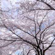 ヒメ日記 2026/04/09 18:35 投稿 宮瀬/Miyase マダムの楽園