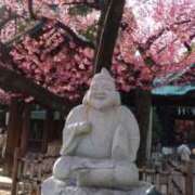 ヒメ日記 2026/03/29 16:30 投稿 櫻井/Sakurai マダムの楽園