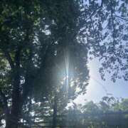 ヒメ日記 2026/05/29 16:12 投稿 藍川/Aikawa マダムの楽園
