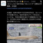 ヒメ日記 2026/06/09 23:00 投稿 七海奈々 YESグループ水戸　華女