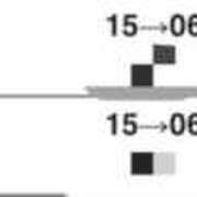 ヒメ日記 2026/04/05 17:36 投稿 レイ リッチドールなんば店
