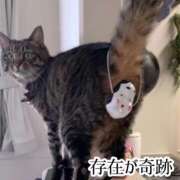 たお おやすみなさいᯓ☆ 静岡駅前ちゃんこ