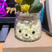 ヒメ日記 2026/04/08 13:58 投稿 野中みなと 五十路マダムエクスプレス船橋店(カサブランカグループ)