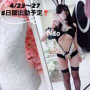 ヒメ日記 2026/04/17 16:35 投稿 葉月　なお OL精薬
