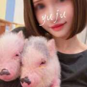 ヒメ日記 2026/03/12 20:49 投稿 優寿（ゆじゅ） エスペランサ新館