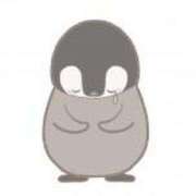 ヒメ日記 2026/02/11 12:29 投稿 あお 尼妻（あまづま）