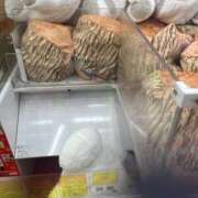 ヒメ日記 2026/02/01 17:04 投稿 村上めぐ 社外秘 松戸支店