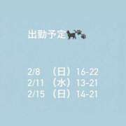 ヒメ日記 2026/02/04 13:30 投稿 村上めぐ 社外秘 松戸支店