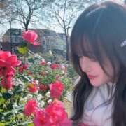 ヒメ日記 2026/04/03 00:37 投稿 さな Grace東京