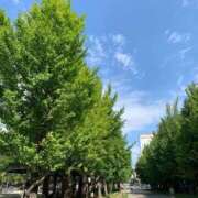 ヒメ日記 2026/09/08 10:10 投稿 かれん 完熟ばなな札幌・すすきの