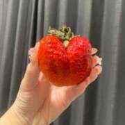 ヒメ日記 2026/02/15 09:32 投稿 ハート ピンクコレクション大阪