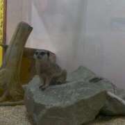 ヒメ日記 2026/04/06 22:29 投稿 ハート ピンクコレクション大阪キタ店