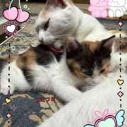 ヒメ日記 2026/02/22 15:15 投稿 かのん 栃木宇都宮ちゃんこ